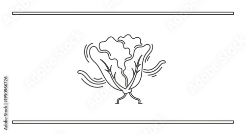 Hand-drawn illustration of a blooming cabbage or lettuce head with swirling lines