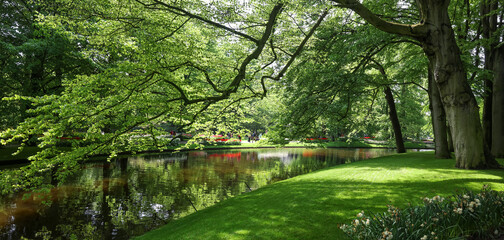 Plexiglas schilderij Reflectie Keukenhof park gracht met groene bomen  © SNEHIT PHOTO
