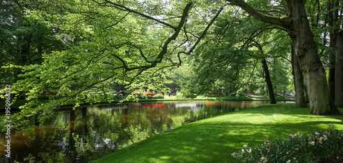 Foto Keukenhof park canal with green trees and reflected light