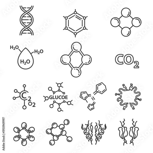 Chemical molecular structures and formulas.