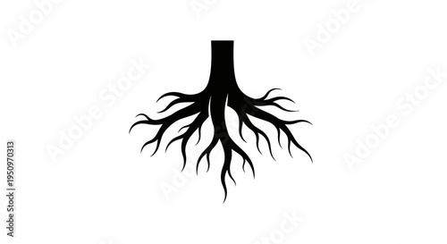 Black silhouette of tree roots underground.