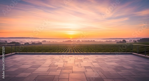 Scenic vineyard terrace view at sunrise with misty landscape