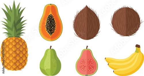 Tropical Fruit Collection with Pineapple Papaya Coconut Pear Guava and Banana Fresh Organic Healthy Food Vector Illustration Set