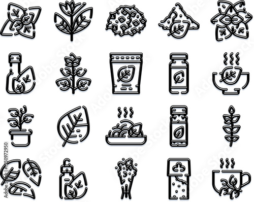 Oregano collection, outline icons of plant, fresh sprigs, dried spice, oil bottle and infused dishes in flat line art style on white background, cooking and culinary elements