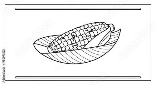 Fresh Corn on the Cob with Husk, Black and White Line Art Illustration