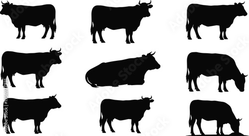 Cow silhouettes set featuring standing, grazing and resting cattle representing farm animals, livestock breeding, agriculture industry and rural farming life isolated on white background