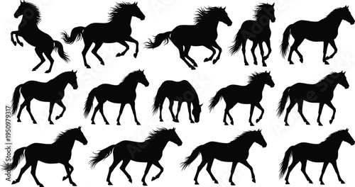 Large collection of black horse silhouettes in various poses including running galloping jumping and standing isolated on white background for equine vector design.