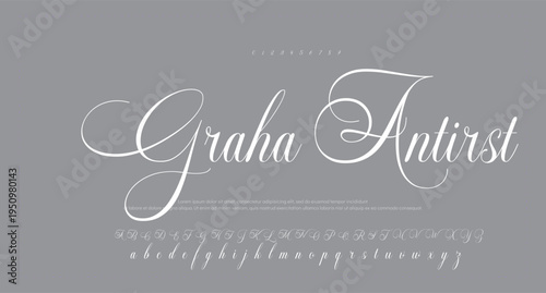  Script Brush Font Type Font lettering handwritten. vector illustration 