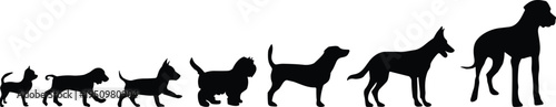 Dog breeds silhouettes collection showing different canine shapes and sizes, domestic pet animals vector illustration isolated set
