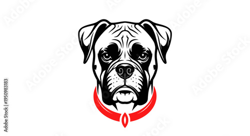 Boxer Dog Head Portrait with Red Collar, Vector Art, Minimalist Style