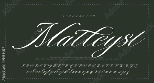 Brush Script Logotype Font lettering handwritten 