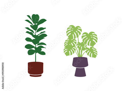 Assorted indoor plants in modern containers, multicolor design.