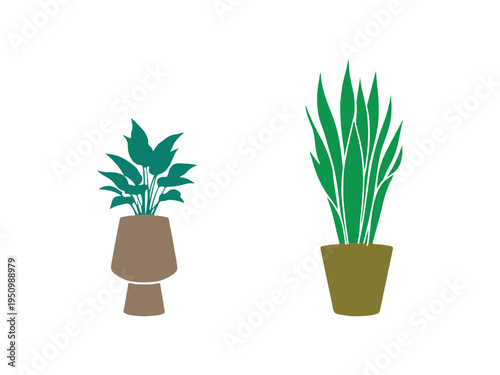 Set of indoor plants in stylish modern pots with colorful illustration.