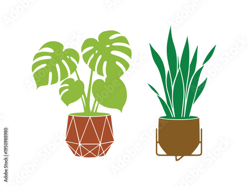 Collection of houseplants in contemporary pots with vibrant colors.