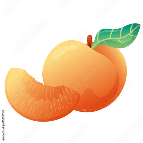 Peach fruit with slice, fresh juicy fruit, summer food vector illustration. 