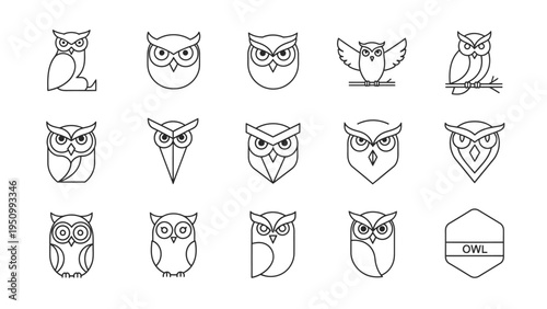 Wisdom owl head icons and full body line art illustrations for corporate identity and academic logos