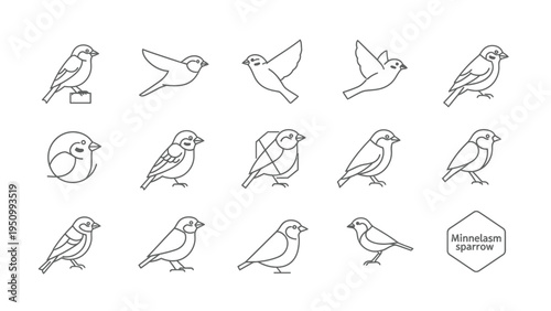 Set of minimalist sparrow line art icons on white background