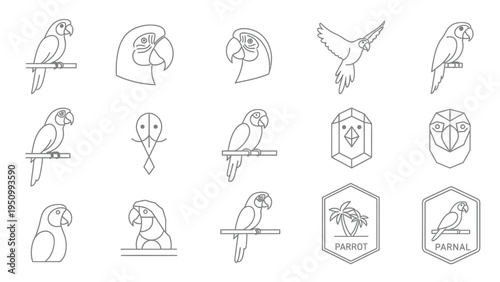 Set of minimalist parrot line art icons on white background