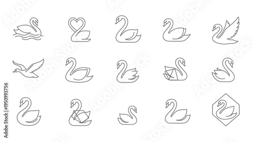 Set of 15 swan icons, outline signs and symbols of swans in simple linear style