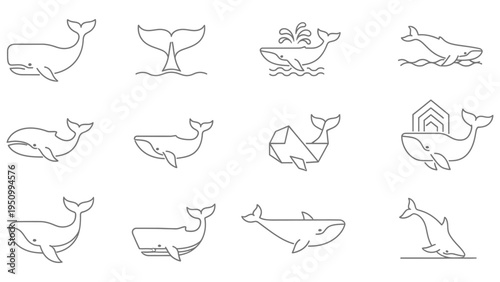 Minimal whale line icon set, modern geometric whale shapes with simple linear design