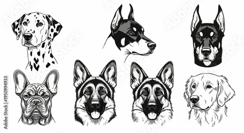 Detailed black and white vector line art illustrations of dog breed heads including Dalmatian, Doberman Pinscher, German Shepherd, French Bulldog and Golden Retriever on white.