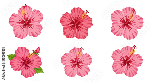 Set of six pink hibiscus flower vector illustrations isolated on a white background, featuring detailed petals with red veins, long stamens with yellow pollen, and green leaves.
