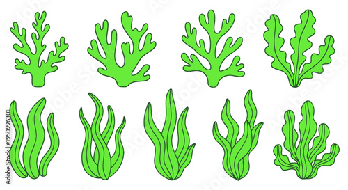 Vibrant Green Seaweed Collection: Hand-Drawn Underwater Plants Set