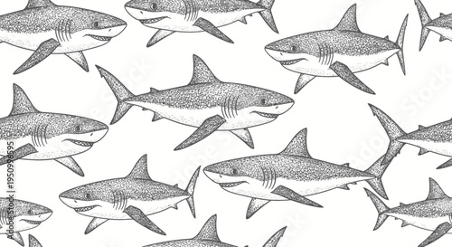 Shark Pattern Illustration - Hand Drawn Style
