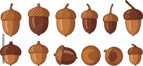 Collection of Hand-Drawn Acorns in Various Shapes and Stages for Autumn, Fall, and Nature-Themed Designs.