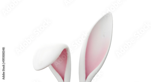 Pink and white rabbit ears isolated on transparent background