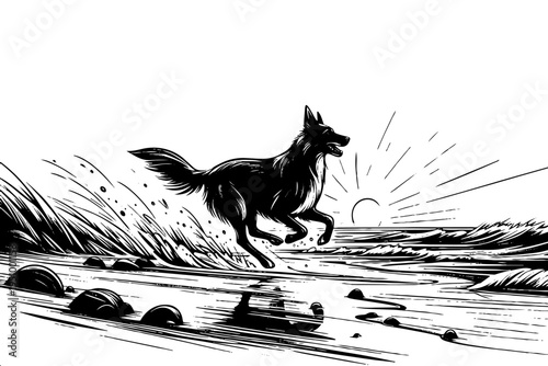 Black and white ink drawing of dog sprinting through waves with sun rays on horizon