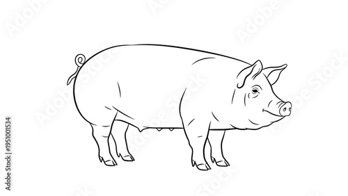 Simple black line art drawing of a large domestic pig standing sideways on a plain white background for coloring or design projects.