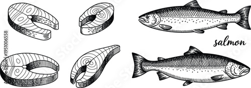 Vector hand drawn salmon fish set, fresh steak slices and whole fish sketch illustration