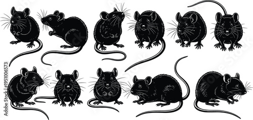 Mouse Silhouette Set in Various Poses, Rodent Vector Collection for Nature and Pest Control Design, Small Wildlife Animal Icons for Biology