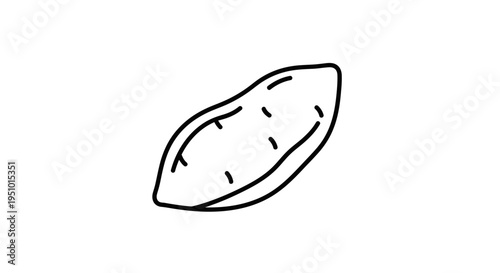 Hand-drawn illustration of a sweet potato, isolated on white background