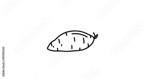 Hand-drawn illustration of a sweet potato, simple line art, isolated on white background