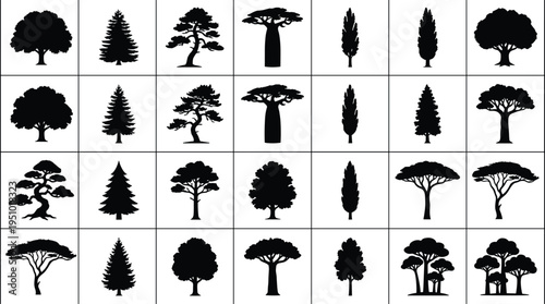 Tree Silhouette Set Various Forest and Garden Trees Including Pine Oak Cypress Acacia Bonsai Black Nature Vector Collection