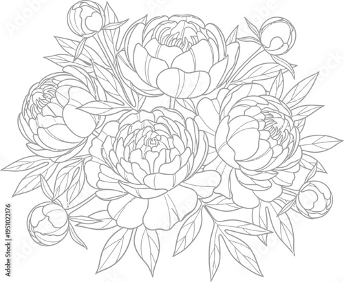Beautiful black and white line art illustration featuring a lush bouquet of blooming peony flowers and buds