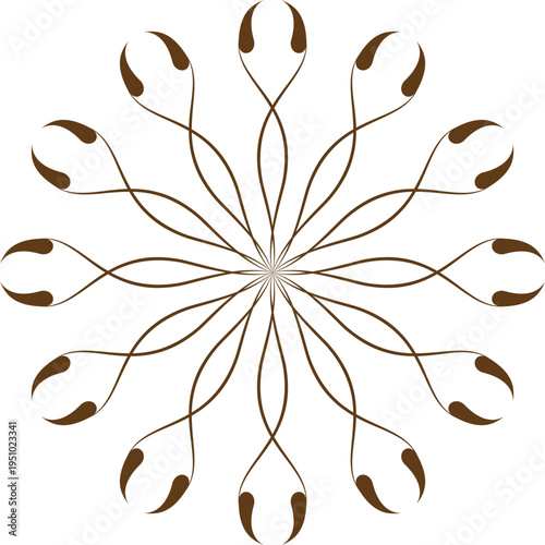 Intricate brown ornamental mandala design with delicate swirling lines and teardrop shapes radiating from the center creating a symmetrical floral pattern isolated on white background