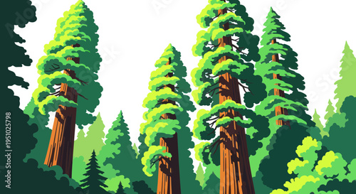 Majestic Sequoia Trees Forest Landscape Illustration
