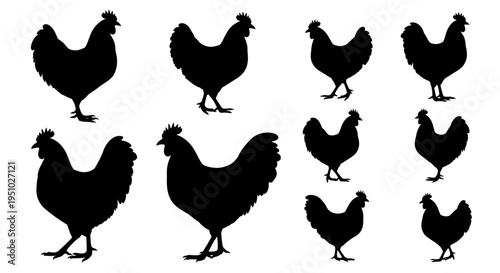 Collection of Silhouetted Roosters and Chickens in Various Poses for Graphic Design