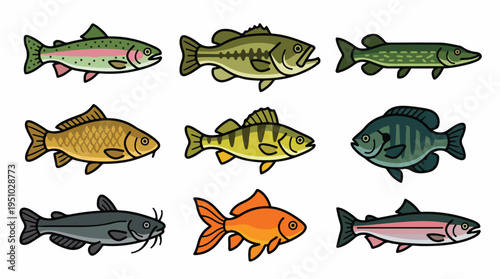 Collection of nine different types of freshwater fish illustrated in a cartoon style.