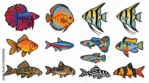 Collection of diverse freshwater aquarium fish species, illustrated in a vibrant, cartoonish style.