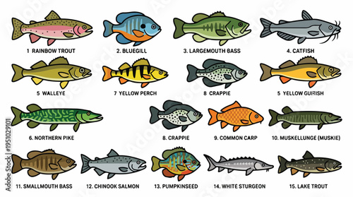 Collection of Various Freshwater Fish Species Illustrated with Names.