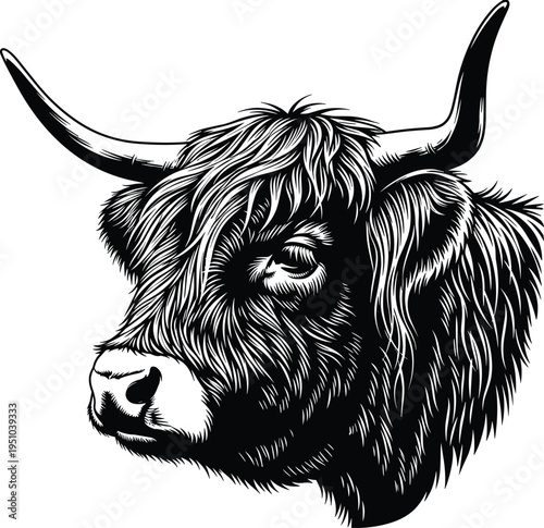 Detailed black and white vector illustration of a highland cattle head with long sharp horns and shaggy fur texture
