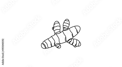 Ginger Root Illustration, Single Line Drawing, White Background