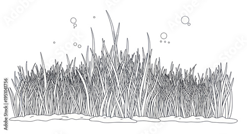 Underwater Grass with Bubbles - Line Art Illustration
