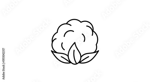 Cotton plant icon, simple line drawing of a cotton boll with leaves, isolated on white background.