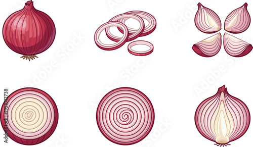 Red onion whole and sliced set, fresh vegetable cross section rings and segments, onion vector illustration collection isolated background