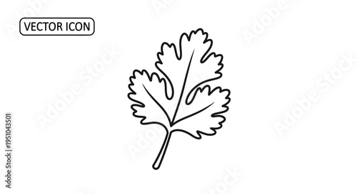 Cilantro Leaf Vector Icon, Fresh Herb Outline, Culinary Ingredient, Simple Line Art
